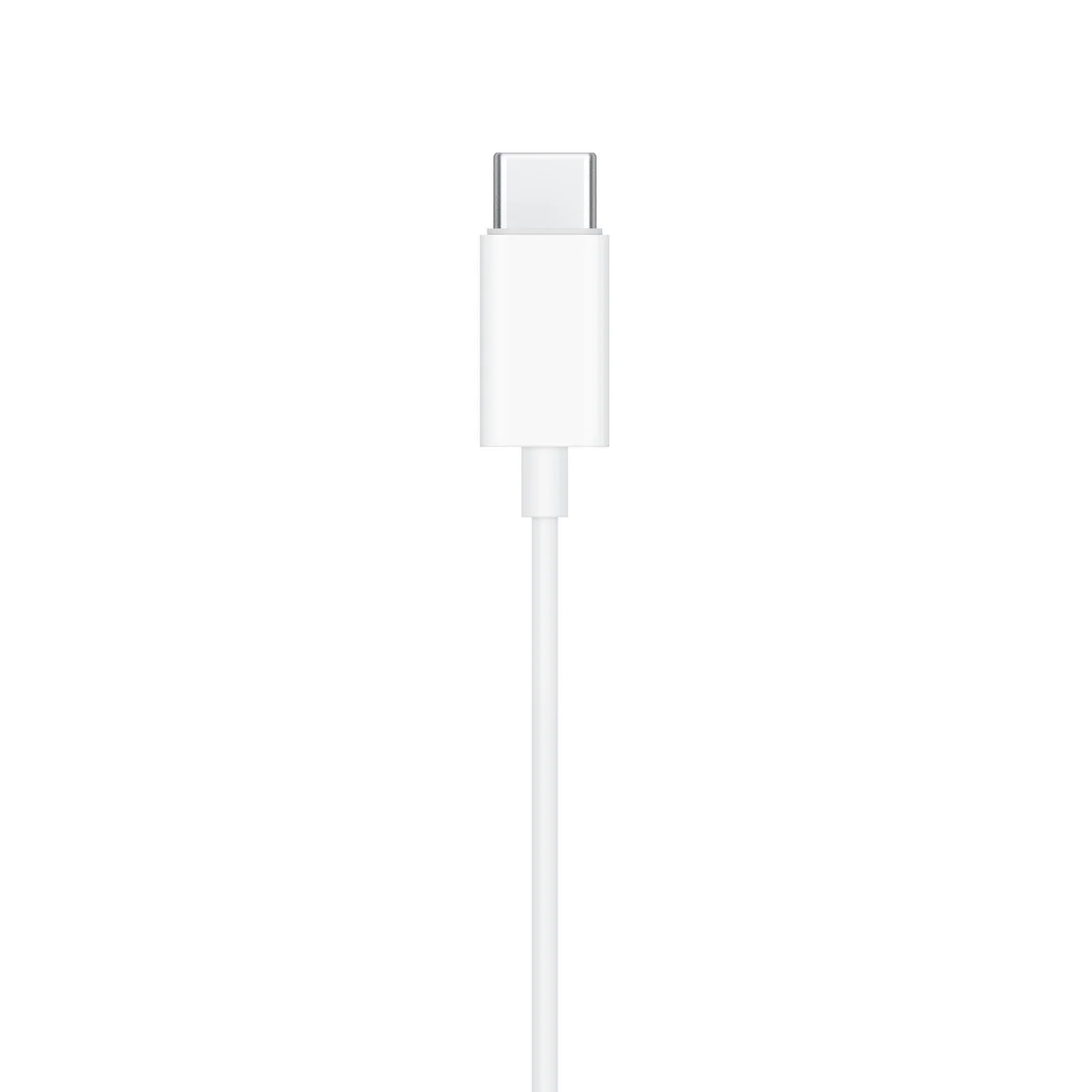 Vue 5